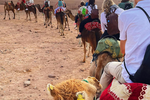 Agafay-Wüste: Quad-Bike, Mittagessen und BadeabenteuerTag in der Agafay-Wüste: Quadfahren, Mittagessen und Badespaß