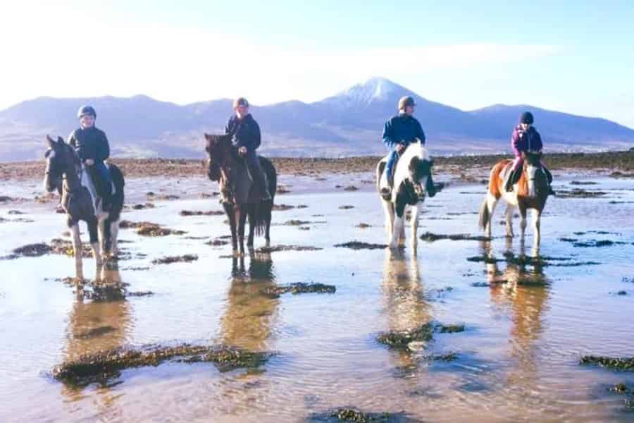 Westport: Beach and Countryside Guided Horse Ride