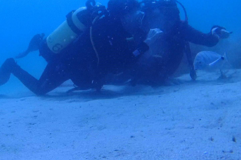 My first scuba dive in the Ocean from Madeira