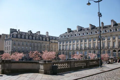 Rennes: Private Guided Walking Tour