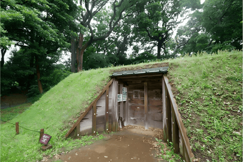 Tokyo–Haneda: Garden, Samurai & Torii Private Tour Tokyo hotel → Haneda Airport