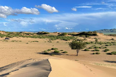 From Ulaanbaatar: 2-Day Karakorum, Mini Gobi & Hustai Tour