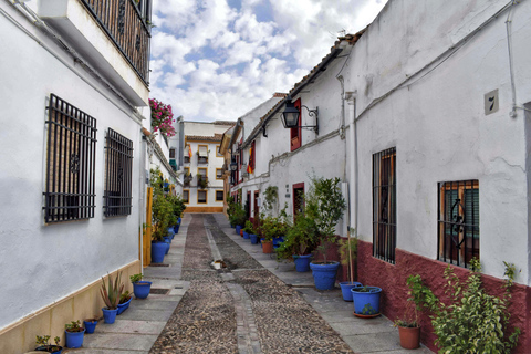 Desde Sevilla: Excursión de 2 días a Córdoba con Mezquita-CatedralHotel Don Paco punto de encuentro - 8:50 am