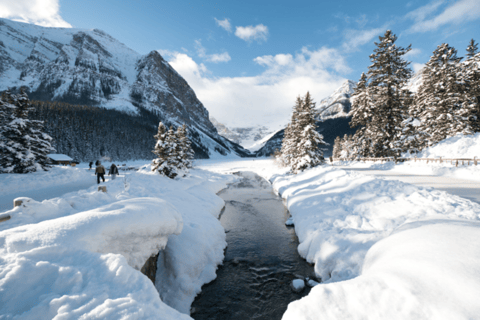 Patinage à Lake Louise et marche sur glace à Johnston CanyonLac Louise et canyon de Johnston