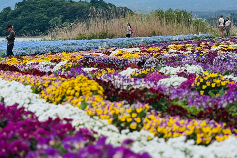 Tokyo: Private Daytrip to Mount Fuji - Fully Customizable Mt Fuji Private Luxury Van Tour (Customizable Experience)