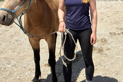 2-Day Gjirokastra & Durres: Horse Riding & Culture Tour Trip