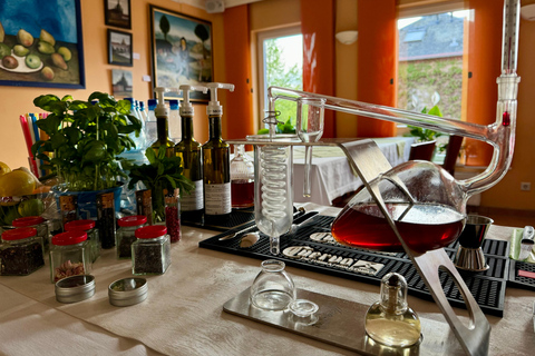 Dresden: Whisky Tasting Experience with Expert Guidance