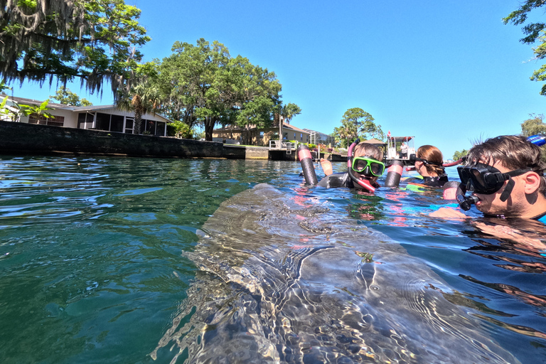 Crystal River: Guided Manatee Snorkeling Tour
