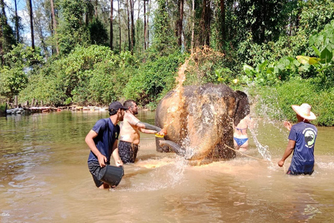 Khaolak: santuario de elefantes con centro de conservación de tortugas