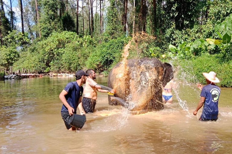 Khaolak : sanctuaire des éléphants avec centre de conservation des tortues