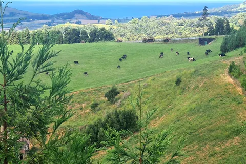 Private Tour Full Day Sete Cidades and Lagoa do Fogo
