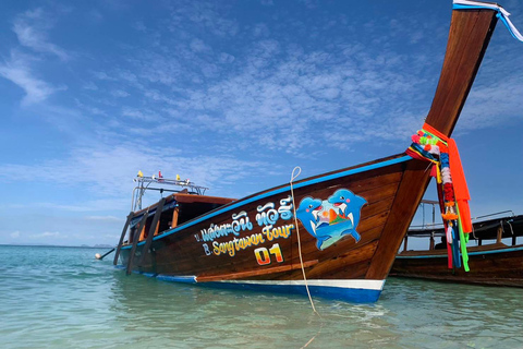 Krabi: Bioluminescent Plankton Night Swim