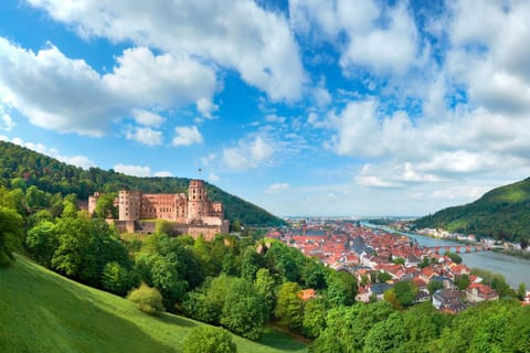 Heidelberg: Express-Spaziergang mit einem Einheimischen in 60 Minuten