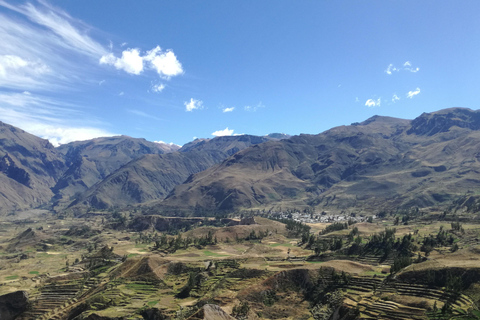 Exkursion: Colca Canyon mit Transfer nach Puno.