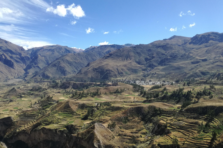 Exkursion: Colca Canyon mit Transfer nach Puno.