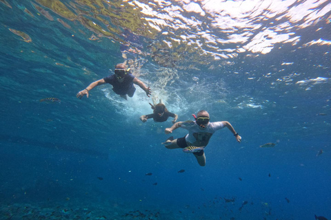 Nusa Penida: Gamat Bay & Manta Point Snorkeling Manta Point & Gamat Bay Public Snorkeling