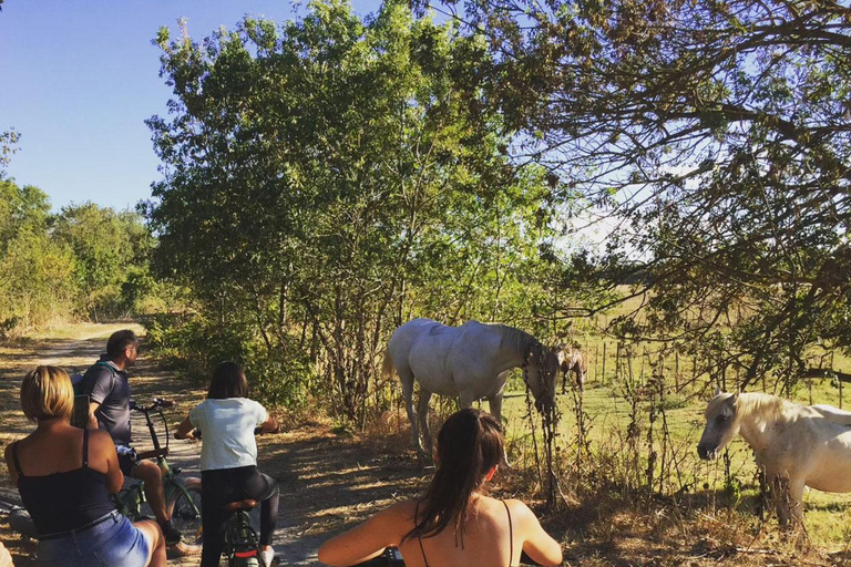 Aigues Mortes: safari en vélo - Passeio de bicicleta elétrica em Camargue