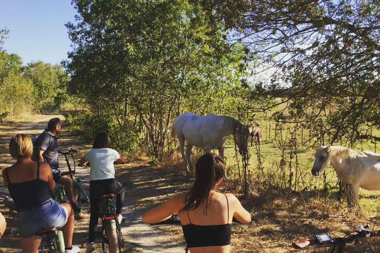 Aigues Mortes: safari en vélo - Ebike tour in Camargue