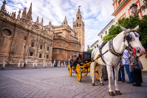 Sevilla: Catedral y Giralda Tour guiado con entradasVisita en italiano