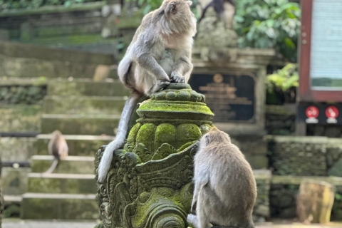 Bali Ubud: małpi las, wodospad, świątyniaBali Ubud: las mongkey, wodospad, świątynia