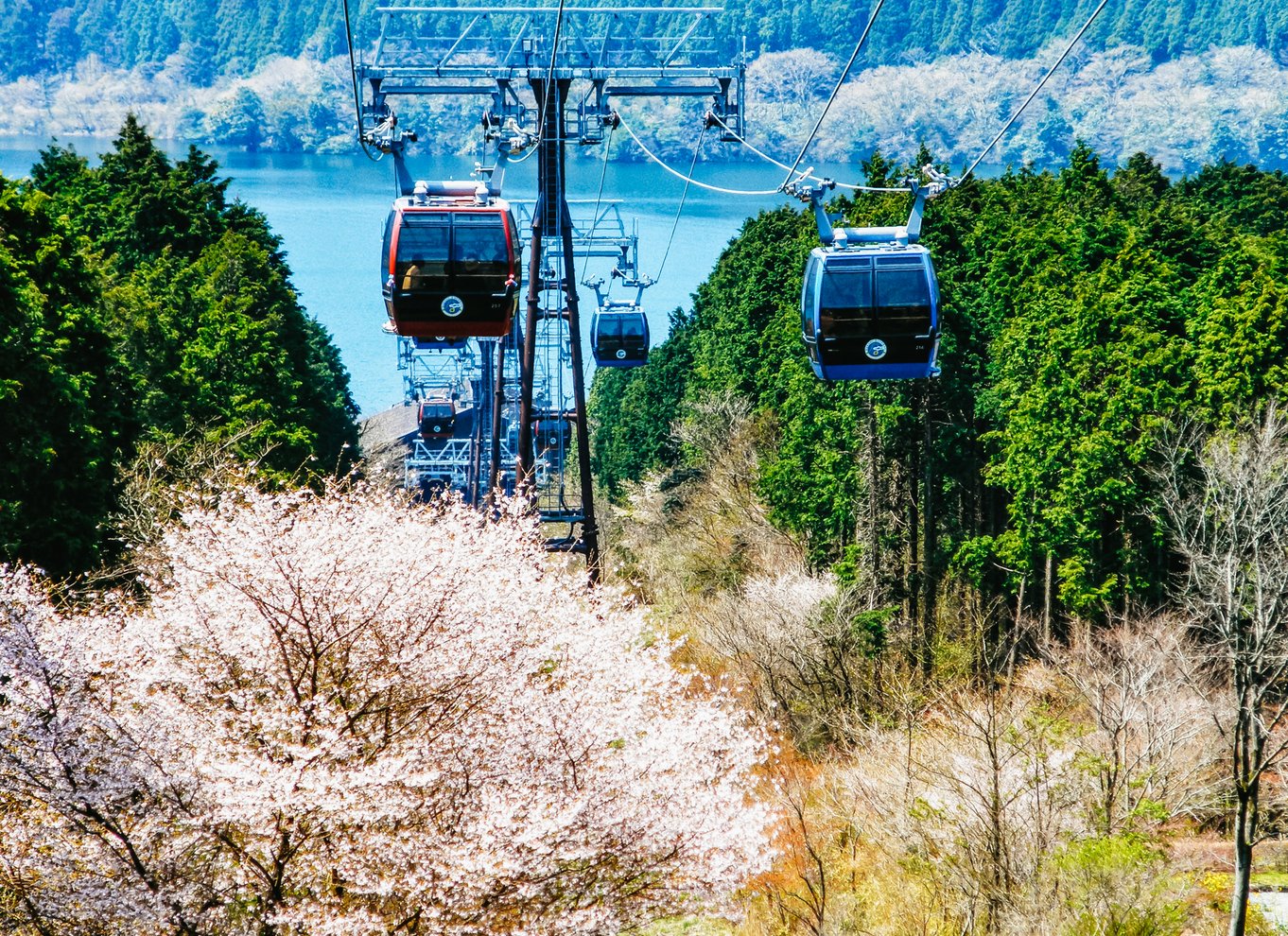 Tokyo: Fuji-bjerget, Hakone, krydstogt ved Ashi-søen og Bullet Train