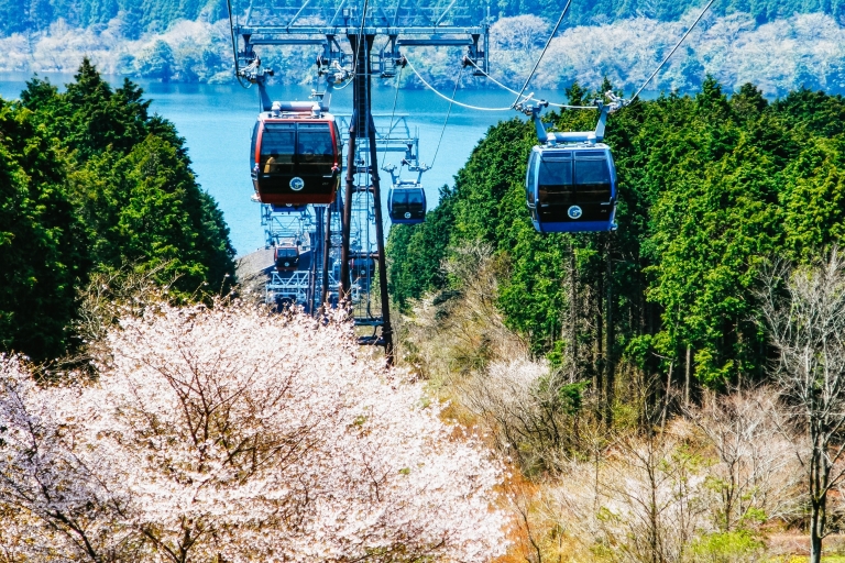 Mt.Fuji & Hakone: bustour & terugkeer per bullet trainTour met lunch vanaf Matsuya Ginza