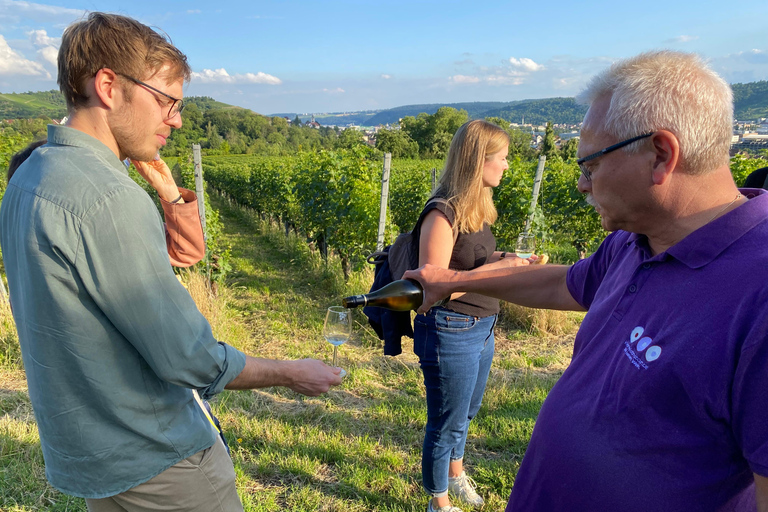 Stuttgart: Wine Tour with wines of the best winemakers Shared Tour