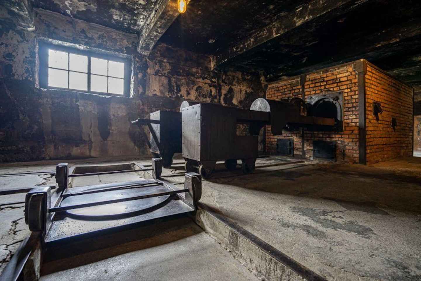 Auschwitz-Birkenau: Skip-the-Line Entry and Guided Tour