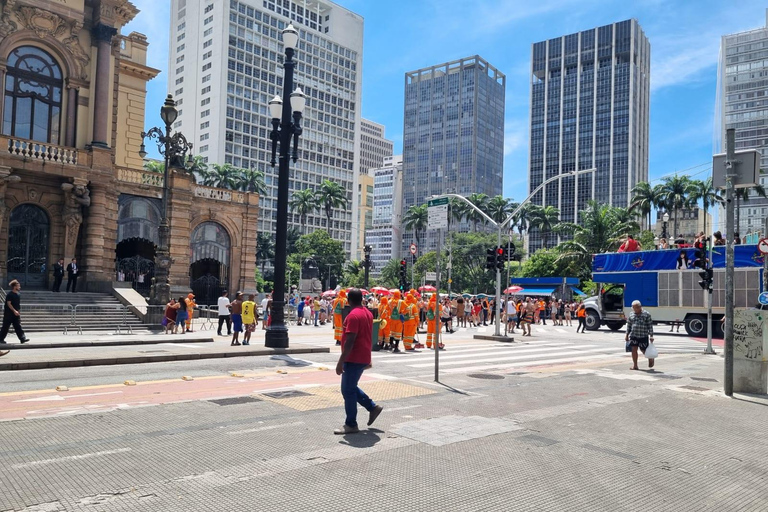 São Paulo 4 Hour Private Tour