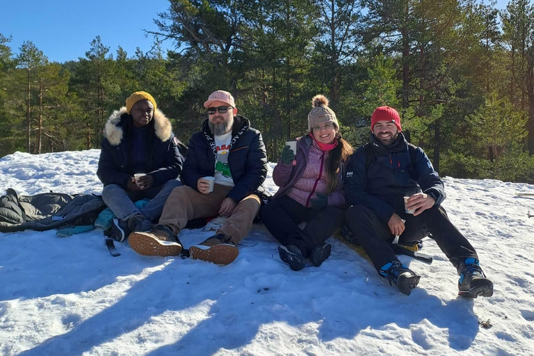 Oslo: Forest Hike with Panoramic Fjord Views and a dog