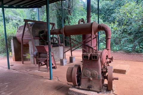 Nairobi: National Museum, Illusions & Karen Blixen Tour