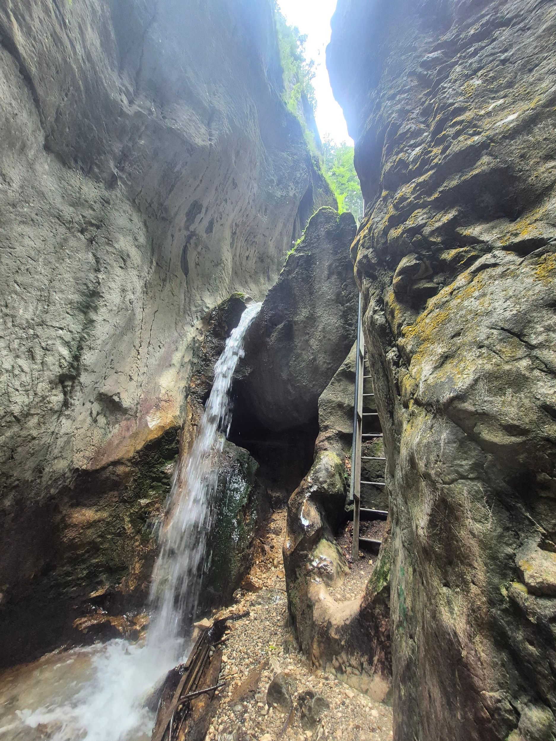 Wanderung durch den 7-Ladders-Canyon & optional Seilrutsche | Ab Kronstadt