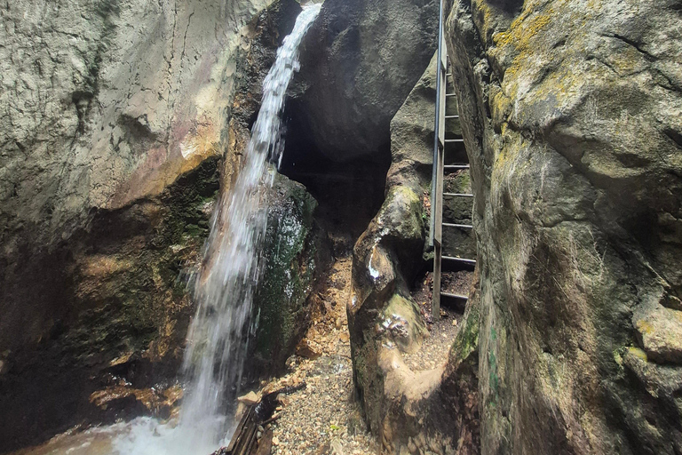 7 Ladders Canyon Hike & Optional Zip-line | From Brașov