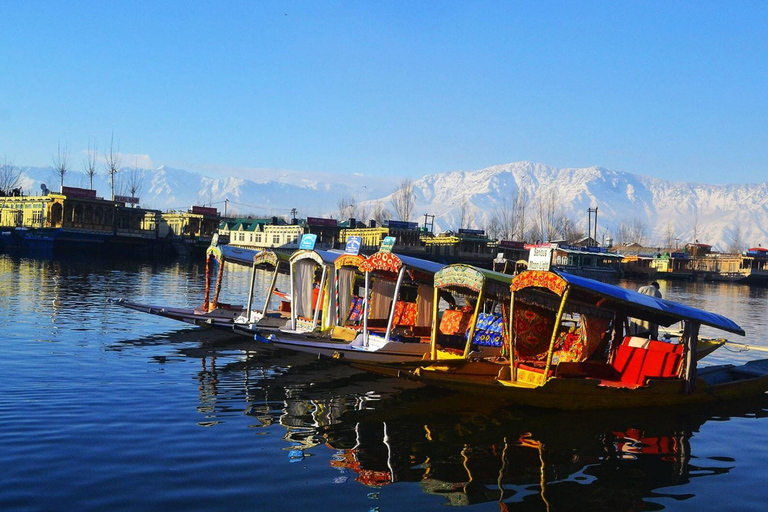 Srinagar: Private Day Tour with Shikara Ride at Dal Lake From Delhi: Private Day Tour with Shikara Ride at Dal Lake