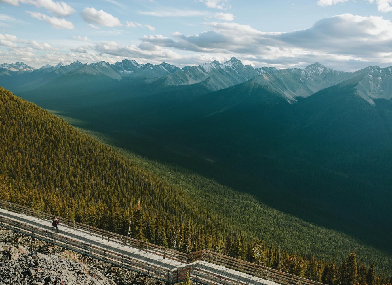 Banff: Adgangsbillet til Banff Gondola