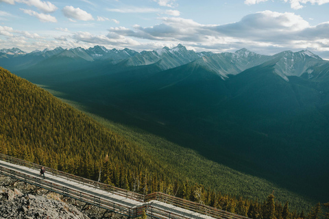 Banff: Banff Gondola Admission Ticket