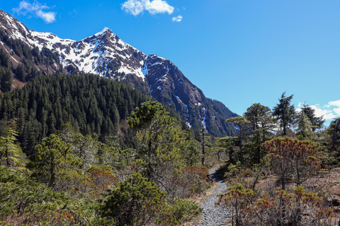 Sitka: Private Guided Tongass National Forest Hiking Tour Sitka: Private Guided Hiking Tour-Half Day