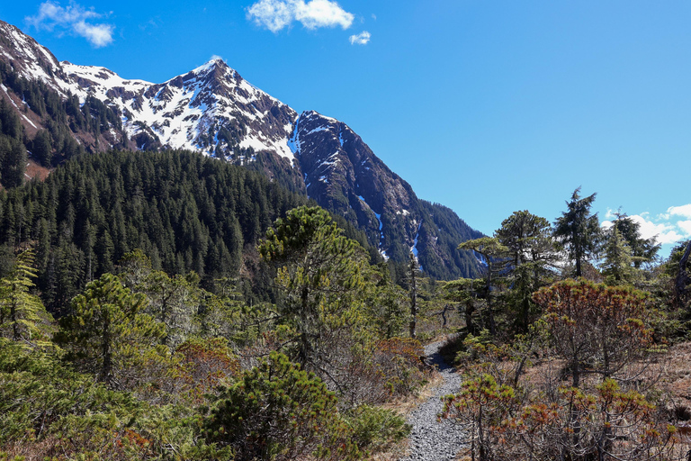 Sitka: Private Guided Tongass National Forest Hiking Tour Sitka: Private Guided Hiking Tour-Half Day
