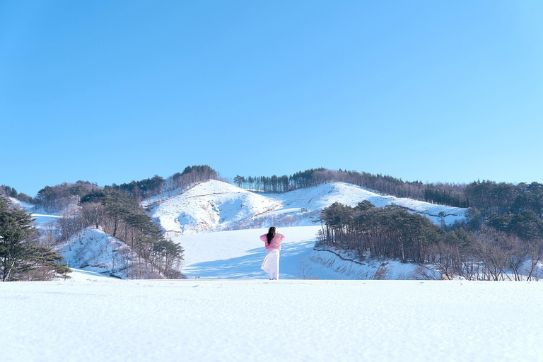 Funivia guidata Balwangsan e ranch DaegwallyeongFunivia guidata di Balwangsan e ranch Daegwallyeong