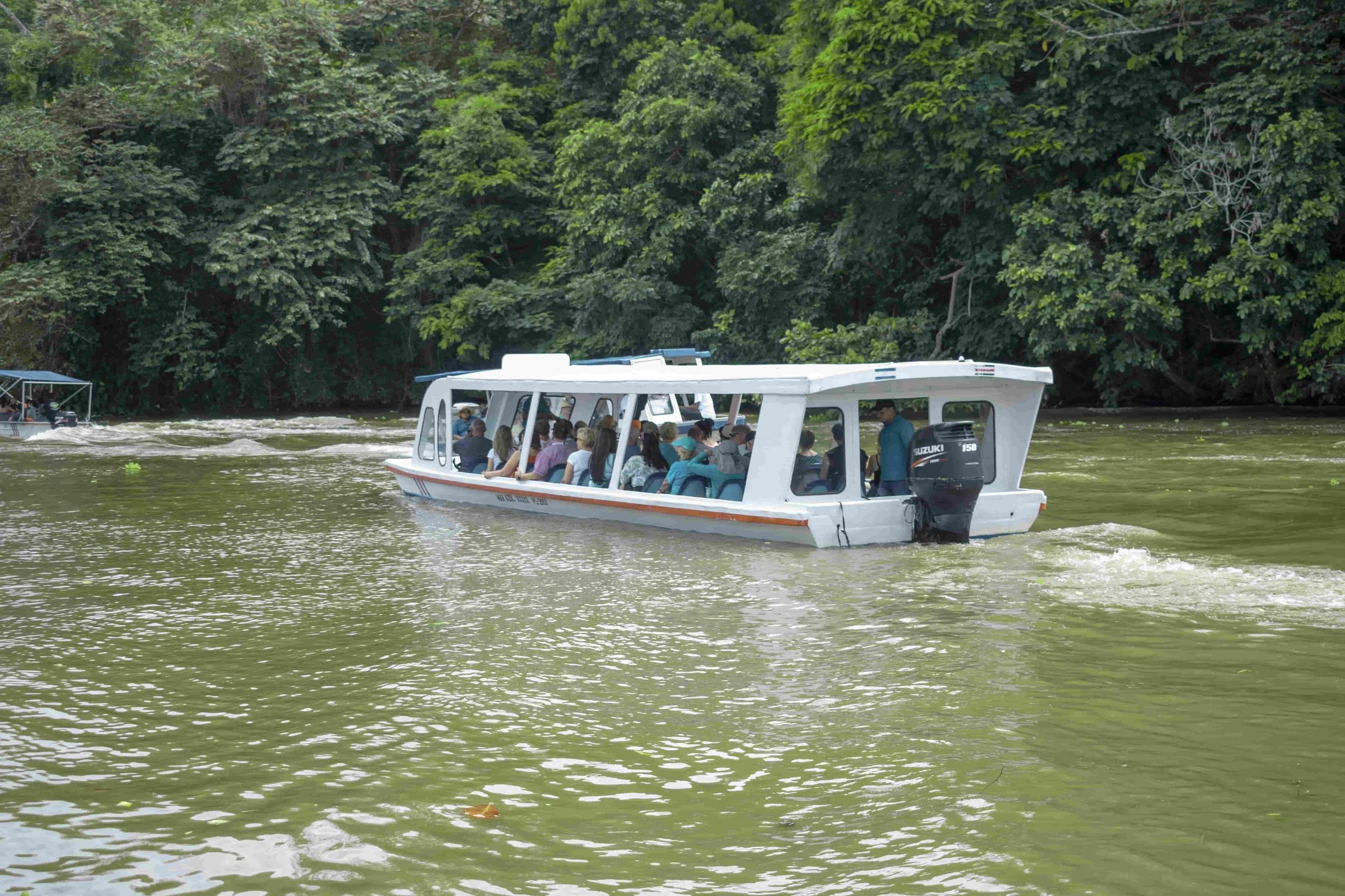Tour durch die Kanäle von Tortuguero und die Stadt Limón