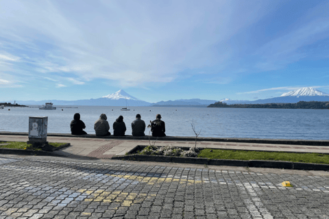 Puerto Varas: Half-Day City Tour, Puerto Montt Included