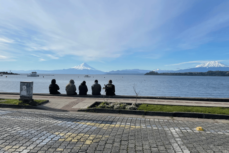 Puerto Varas: Half-Day City Tour, Puerto Montt Included