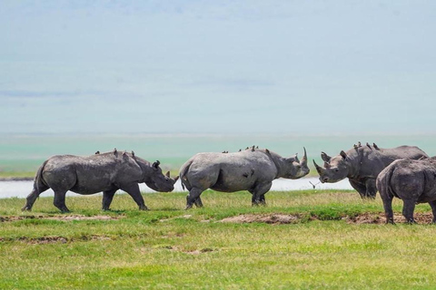 Tanzania: Four Days Wildlife Safari in Northern Parks
