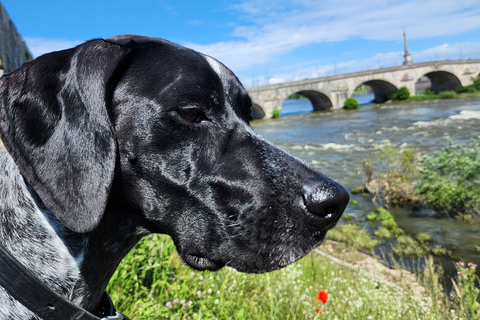 Von Blois aus: Radfahren mit Hundebegleitern