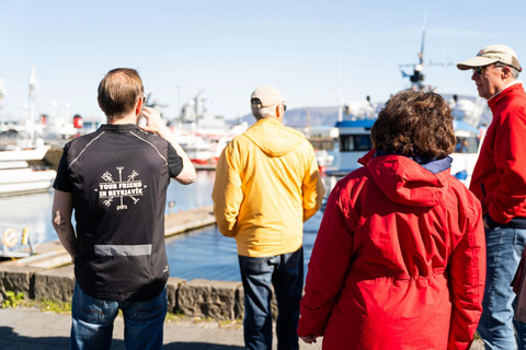 Reykjavik: tour a piedi sulla storia marittima
