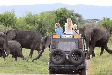 From Zanzibar: 3-Day Nyerere National Park Safari by Flight 3-Day Nyerere Safari From Zanzibar by Flight & Night Drive