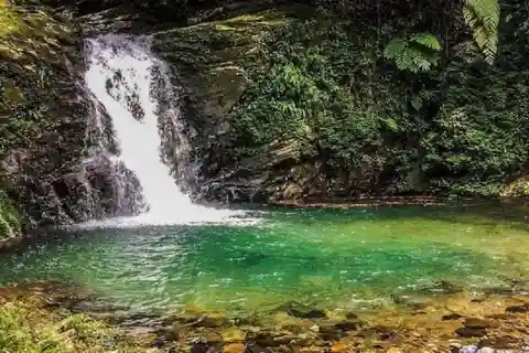 FFOM HUE : TOUR SENDERISMO HUE - PARQUE NACIONAL DE BACH MA DIARIO
