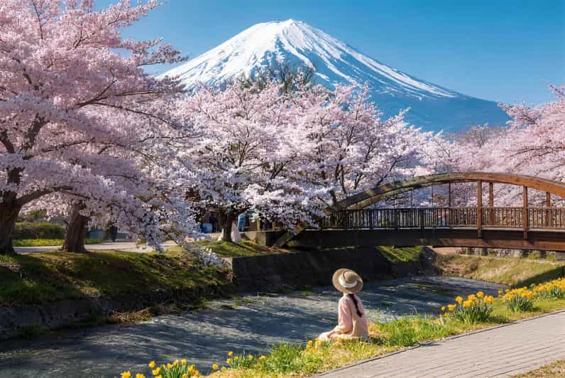 Tokyo: Mt Fuji, Arakurayama, Lake Kawaguchi Highlight Trip