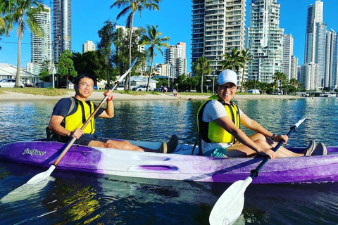 Gold Coast: Tour guidato in kayak a Surfers ParadiseGold Coast: Tour di Surfers Paradise in kayak