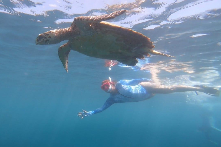 Private Snorkeling in Gili Trawangan, meno & air with goopro Option 1:Private Snorkeling in Gili T,meno & air with goopro